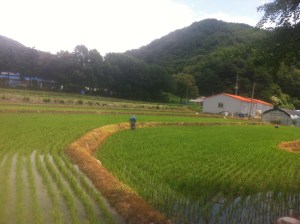 There were some moments I got to enjoy the journey. Korea really is an unbelievably beautiful country. 