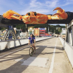 There must be ten towns along this coastline which claim to be Korea's Crab Capital, however this one really went the extra mile. I've never seen so many giant crabs in one place…a big statement for anyone who knows the Korean coastline well.  