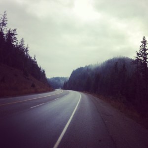 This view was at the top of a big climb which took 45 minutes. No danger of enjoying the view though as I realised when I got to the top, I'd left my gloves at the bottom of the hill...'talented'.