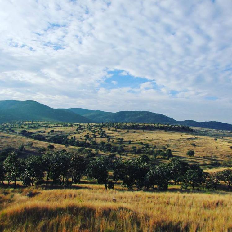 12345552_438958659632876_7185195646864916565_n[1]